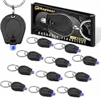 RaySoar 12 Pack Ultra Bright Blue Light Keychain Flashlight